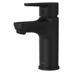 Pfister Single Handle Faucet